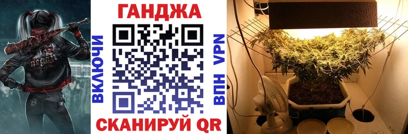 Шишки марихуана Amnesia  купить наркоту  Нижнеудинск 